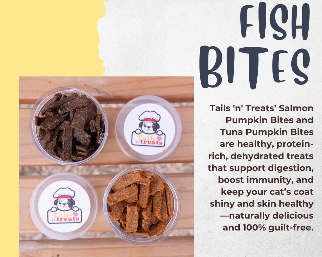 Pumpkin Salmon Bites