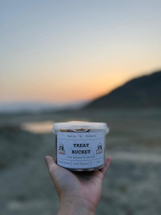 Treat bucket